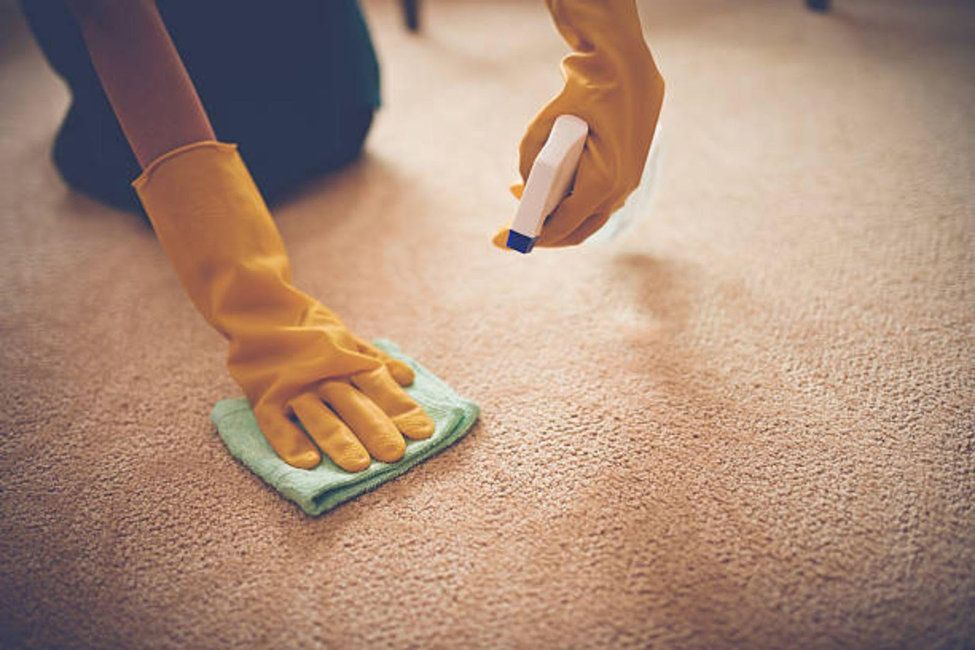 Person cleaning carpet stains